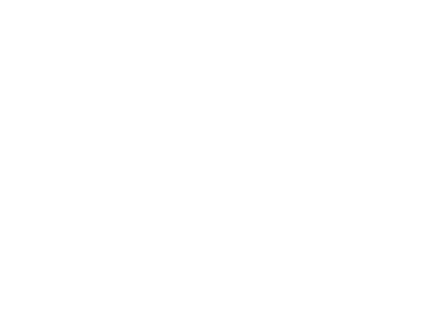 Ice Raykoff